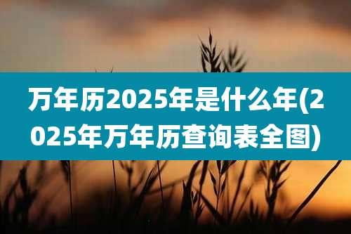 万年历2025年是什么年(2025年万年历查询表全图)