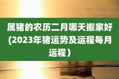 属猪的农历二月哪天搬家好(2023年猪运势及运程每月运程）