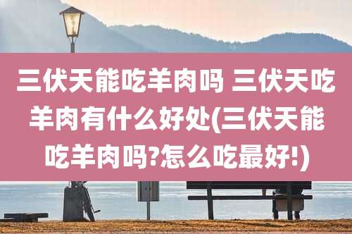 三伏天能吃羊肉吗 三伏天吃羊肉有什么好处(三伏天能吃羊肉吗?怎么吃最好!)