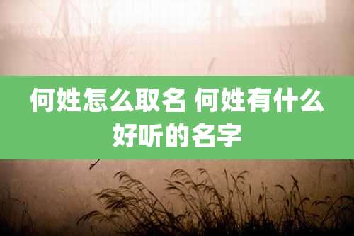 何姓怎么取名 何姓有什么好听的名字