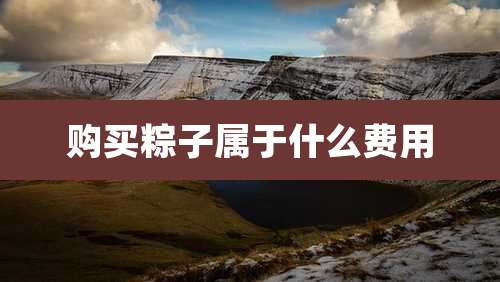 购买粽子属于什么费用