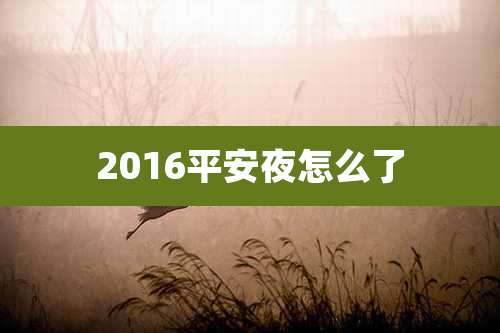 2016平安夜怎么了