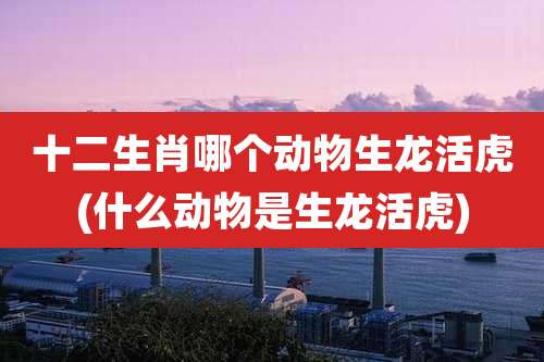 十二生肖哪个动物生龙活虎(什么动物是生龙活虎)