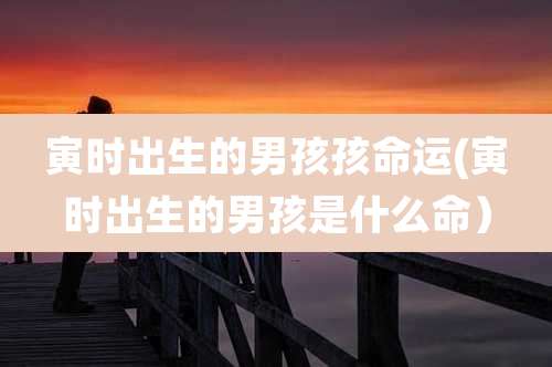 寅时出生的男孩孩命运(寅时出生的男孩是什么命)