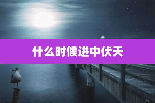 什么时候进中伏天