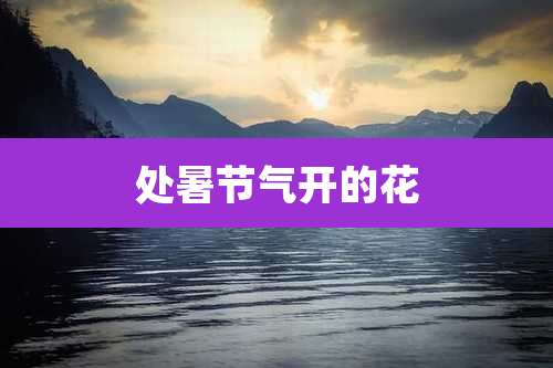 处暑节气开的花