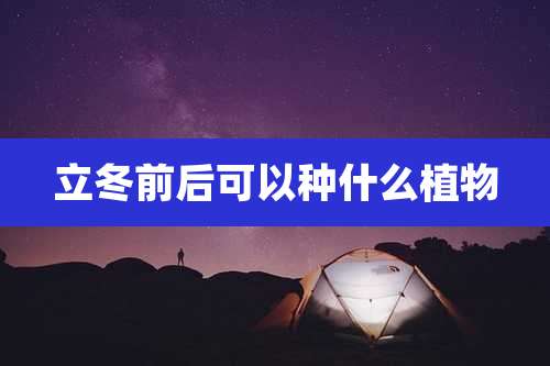 立冬前后可以种什么植物