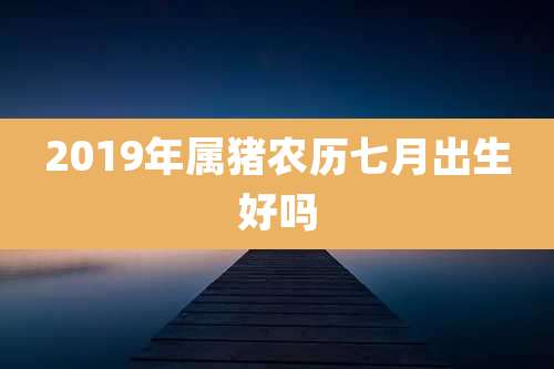 2019年属猪农历七月出生好吗