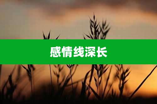感情线深长