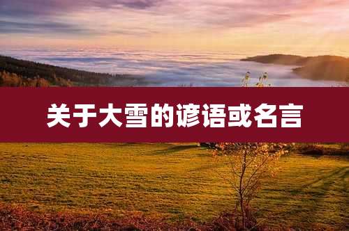 关于大雪的谚语或名言