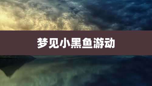 梦见小黑鱼游动