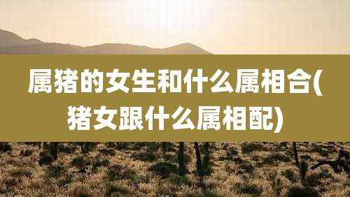 属猪的女生和什么属相合(猪女跟什么属相配)