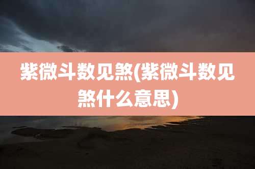 紫微斗数见煞(紫微斗数见煞什么意思)