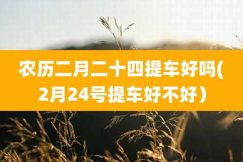 农历二月二十四提车好吗(2月24号提车好不好)