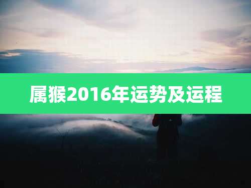 属猴2016年运势及运程