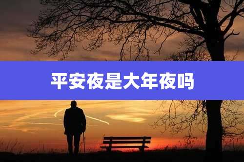 平安夜是大年夜吗