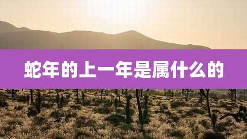 蛇年的上一年是属什么的