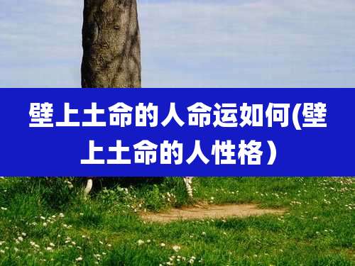 壁上土命的人命运如何(壁上土命的人性格)