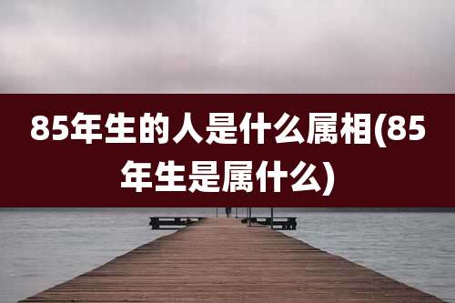 85年生的人是什么属相(85年生是属什么)