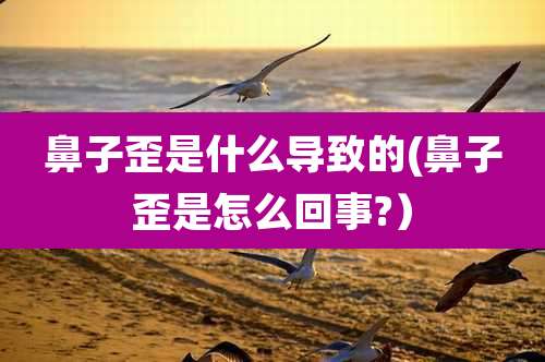 鼻子歪是什么导致的(鼻子歪是怎么回事?)