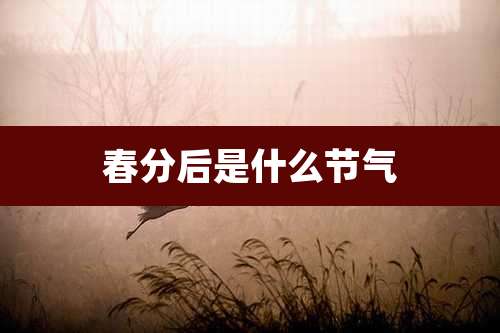 春分后是什么节气