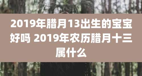 2019年腊月13出生的宝宝好吗 2019年农历腊月十三属什么