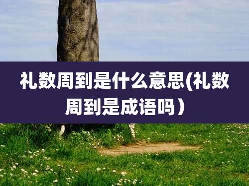 礼数周到是什么意思(礼数周到是成语吗）