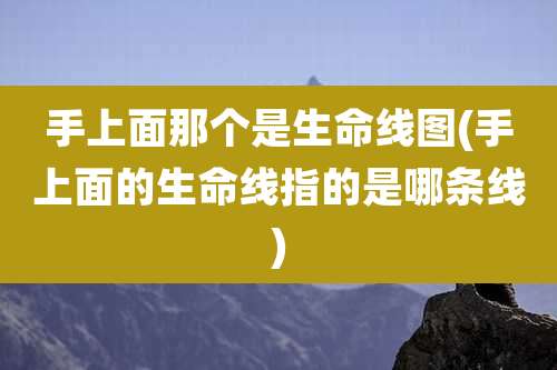 手上面那个是生命线图(手上面的生命线指的是哪条线)