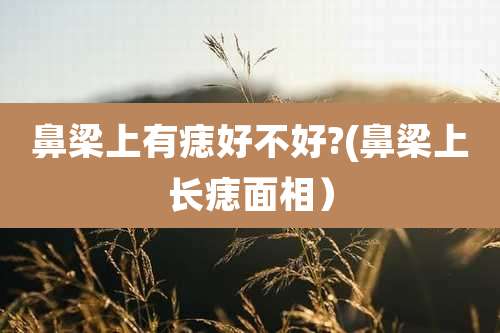 鼻梁上有痣好不好?(鼻梁上长痣面相）