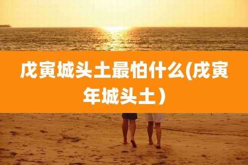 戊寅城头土最怕什么(戌寅年城头土）