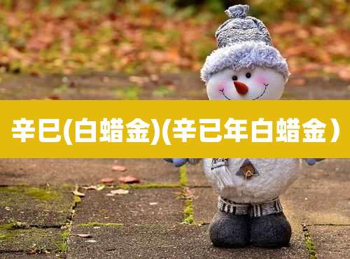 辛巳(白蜡金)(辛已年白蜡金）