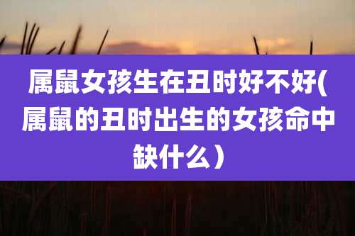 属鼠女孩生在丑时好不好(属鼠的丑时出生的女孩命中缺什么)