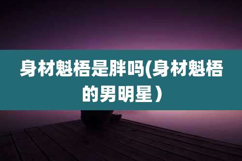 身材魁梧是胖吗(身材魁梧的男明星)