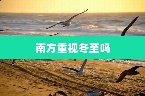 南方重视冬至吗