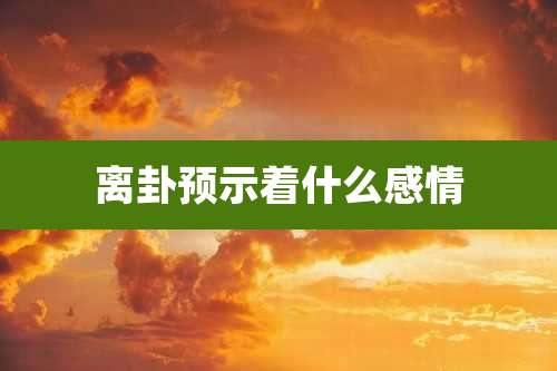 离卦预示着什么感情