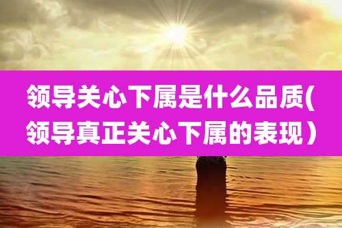 领导关心下属是什么品质(领导真正关心下属的表现）