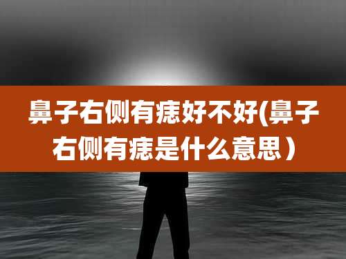 鼻子右侧有痣好不好(鼻子右侧有痣是什么意思)