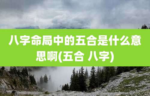 八字命局中的五合是什么意思啊(五合 八字)