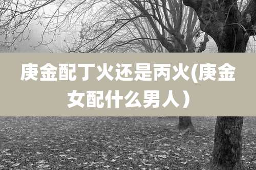 庚金配丁火还是丙火(庚金女配什么男人）