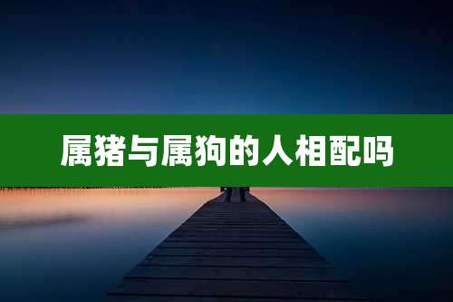 属猪与属狗的人相配吗