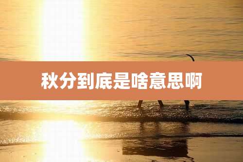 秋分到底是啥意思啊