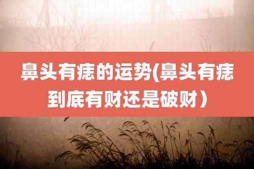 鼻头有痣的运势(鼻头有痣到底有财还是破财)