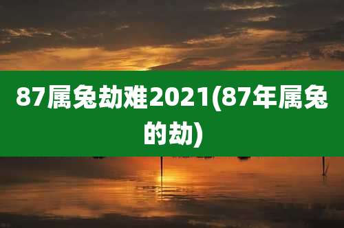 87属兔劫难2021(87年属兔的劫)