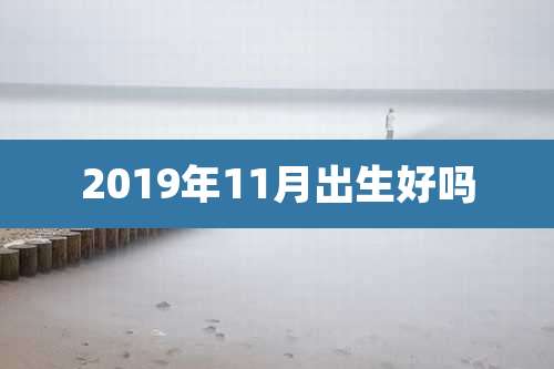 2019年11月出生好吗