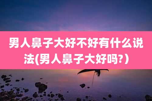 男人鼻子大好不好有什么说法(男人鼻子大好吗?)
