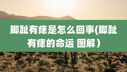 脚趾有痣是怎么回事(脚趾有痣的命运 图解)