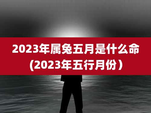 2023年属兔五月是什么命(2023年五行月份)