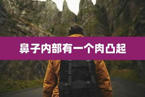 鼻子内部有一个肉凸起