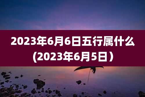 2023年6月6日五行属什么(2023年6月5日）