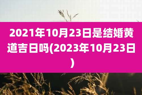 2021年10月23日是结婚黄道吉日吗(2023年10月23日)